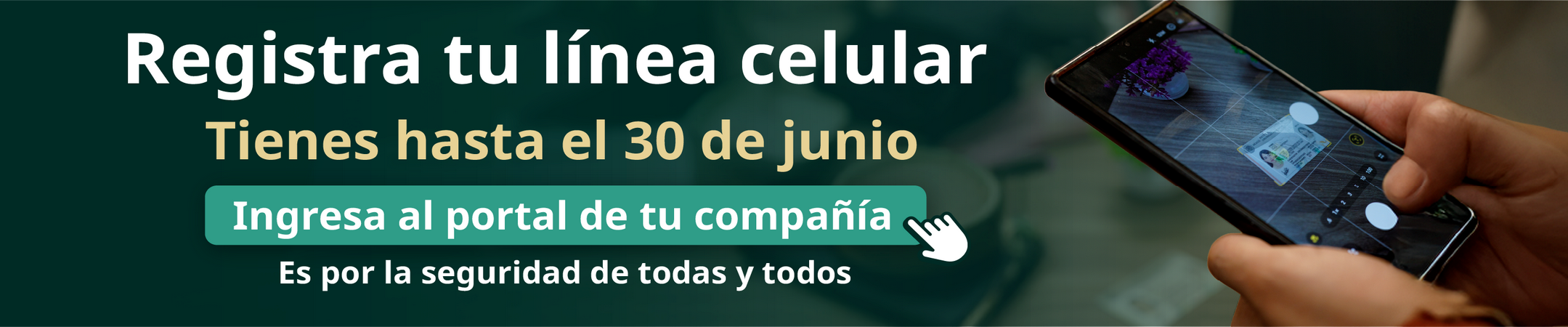 Seccion verde